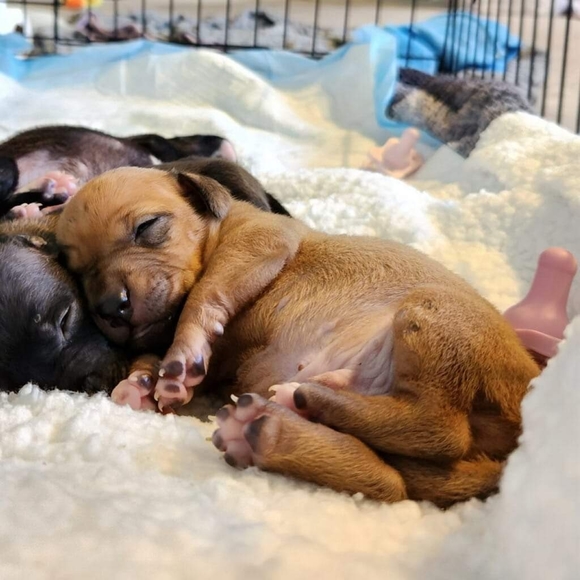 Meet your Posher, Bryn - Picture 5 of 17